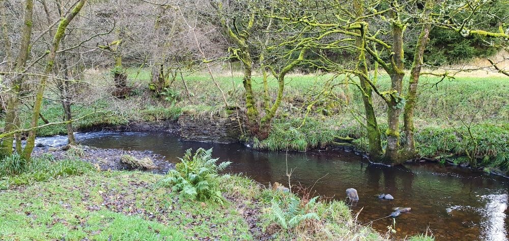 Visit Settle - Gisburn Forest